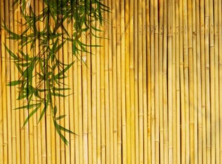Использование бамбуковых обоев в интерьере